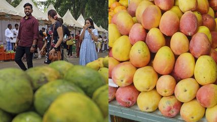 കൊതിയൂറും മാമ്പഴം... അൽഫോൻസ മുതൽ കാരി ഇഷാദ് വരെ.. ലാൽ ബാഗ് മാമ്പഴ മേള കാണേണ്ടെ?