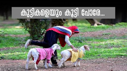 30 രൂപയ്ക്ക് ടോയ് ട്രെയിൻ കയറാം, ബോട്ടിങ് നടത്താം.. അതും ബെംഗളുരു നഗരത്തിൽ, കുട്ടികൾക്കൊപ്പം പോകാൻ ബാൽ ഭവൻ