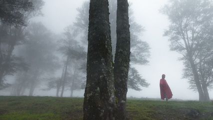 മൂന്ന് മഴയനുഭവങ്ങൾ ഒറ്റ യാത്രയിൽ..കാട്ടിലെയും കോൾ പാടത്തെയും ബീച്ചിലെയും മഴ ആസ്വദിക്കാം, റെയിൻ വാക്ക് പാക്കേജ്