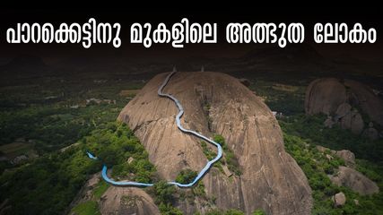 ബെംഗളുരുവിൽ നിന്ന് ഒരു മണിക്കൂർ യാത്ര: 300 പടികൾക്കു മുകളിലെ ലോകം!കണ്ടുതന്നെയറിയണം എസ്ആർഎസ് ഹിൽസിന്‍റെ ഭംഗി