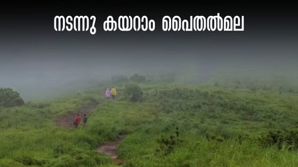 കണ്ണൂരുകാരുടെ മൂന്നാർ, നട്ടുച്ചയ്ക്കത്തെ ചൂട് പോലും ഏശില്ല, മൺസൂൺ ട്രെക്കിങ്ങിന് പൈതൽമല