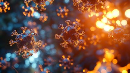 എച്ച്എംപിവി വൈറസ്; ഇന്ത്യയിലെ ആദ്യ കേസ് ബെംഗളൂരുവിലെ 8 മാസം പ്രായമുള്ള കുഞ്ഞിന് , ലക്ഷണവും പ്രതിരോധവും