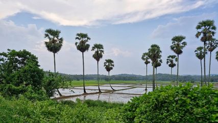 പാലക്കാടൻ കാറ്റേറ്റ് കെഎസ്ആർടിസി യാത്ര.. സൈലന്‍റ് വാലി ജീപ്പ് സഫാരി, കൽപ്പാത്തിയും വരിക്കാശേരി മനയും കാണാം