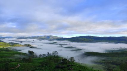 മഞ്ഞുപെയ്യുന്ന മൂന്നാർ, കൊടുംതണുപ്പും പുൽമേടുകളിൽ മഞ്ഞും! ബെസ്റ്റ് ടൈം! പക്ഷേ ഇരവികുളം ശനിയാഴ്ച അടയ്ക്കും