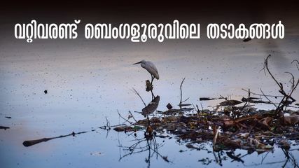 ബെംഗളൂരു ജലക്ഷാമം;53 തടാകങ്ങൾ പൂർണ്ണമായും വറ്റി.. കുഴൽകിണറുകൾക്കും രക്ഷയില്ല, ബാംഗ്ലൂർ യാത്ര ഒഴിവാക്കണോ?