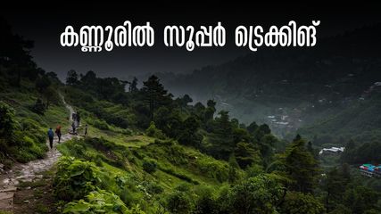 പൈതൽമല, പാലുകാച്ചിമല, ശശിപ്പാറ..കണ്ണൂരിലെ ഈ ട്രെക്കിങ് സ്ഥലങ്ങൾ ഒന്നിനൊന്ന് പൊളി!വേനലിൽ ചൂട് പേടിക്കാതെ പോകാം