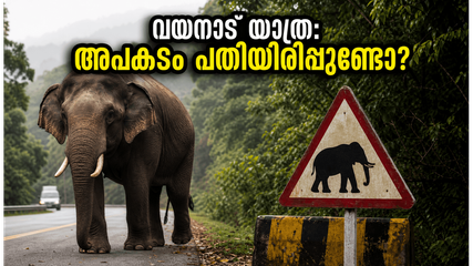 വയനാട്ടിൽ പോകാൻ പ്ലാൻ ഉണ്ടോ? കാട്ടാന ആക്രമണത്തെത്തുടർന്ന് ഈ കാര്യങ്ങൾ അറിയാതെ യാത്ര ചെയ്യരുത്, അപകടം പതിയിരിപ്പുണ്ട്!