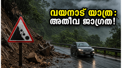 വയനാട്ടിലേക്ക് യാത്ര പ്ലാൻ ചെയ്യുകയാണോ? ഈ കാര്യങ്ങൾ അറിഞ്ഞില്ലെങ്കിൽ പണി പാളും, സുരക്ഷാ മുന്നറിയിപ്പുകൾ ഇതാ