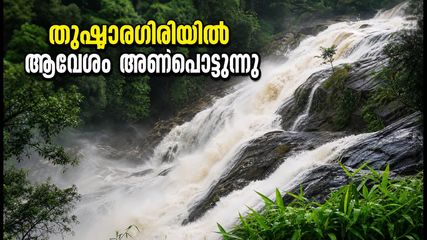 വയനാട് യാത്ര മാറ്റിവെച്ച് സഞ്ചാരികൾ തുഷാരഗിരിയിലേക്ക്; മലബാർ റിവർ ഫെസ്റ്റിവൽ 2026 ആവേശം തുടങ്ങുന്നു!