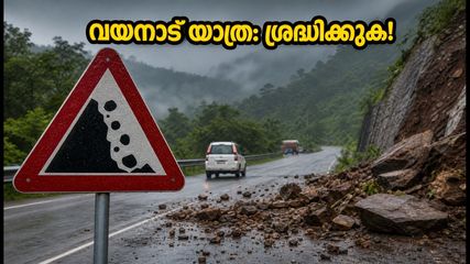 വയനാട് യാത്ര പ്ലാൻ ചെയ്യുകയാണോ? മേപ്പാടിയിൽ കർശന നിയന്ത്രണം, യാത്രക്കാർ ഈ കാര്യങ്ങൾ അറിഞ്ഞിരിക്കണം