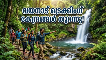 വയനാട് യാത്ര പ്ലാൻ ചെയ്യുന്നവർ ശ്രദ്ധിക്കുക; ട്രെക്കിംഗ് കേന്ദ്രങ്ങൾ തുറന്നു, സ്ലോട്ടുകൾ വേഗത്തിൽ തീരും!