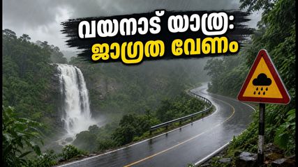 വയനാട് യാത്ര പ്ലാൻ ചെയ്തവർ ശ്രദ്ധിക്കൂ; കനത്ത മഴയിൽ ട്രെക്കിംഗിന് നിയന്ത്രണം, അറിയേണ്ടതെല്ലാം
