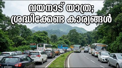 സ്വാതന്ത്ര്യദിന ലോങ് വീക്കെൻഡ്; വയനാട് യാത്ര പ്ലാൻ ചെയ്യുന്നവർ ഈ കാര്യങ്ങൾ അറിഞ്ഞിരിക്കണം, ഇല്ലെങ്കിൽ പണി പാളും!