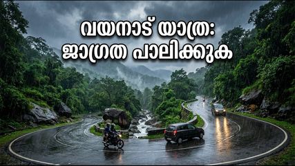 വയനാട് യാത്ര പ്ലാൻ ചെയ്യുകയാണോ? കനത്ത മഴയിൽ വിനോദസഞ്ചാര കേന്ദ്രങ്ങൾ അടച്ചു; യാത്രയ്ക്ക് മുൻപ് ഇതറിയൂ