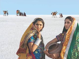 కచ్ రాన్ ఉత్సవ ఆనందాలు !