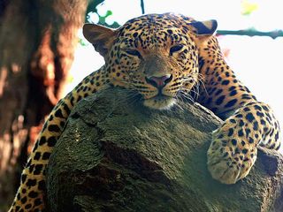 పిల్లల కొరకు బెంగుళూరు ... ! 