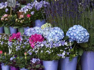 వాలంటైన్ వేడుకలలో ఈ ప్రదేశాలు వదలండి !