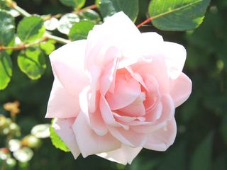 కెమ్మనగుండి విహారం... కోరుకున్న ఆనందం!