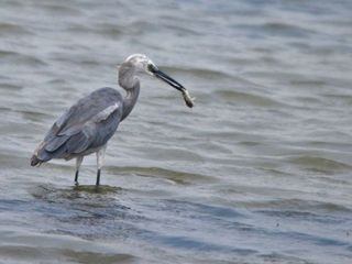  సౌత్ ఇండియా లో జూన్ పర్యటన !