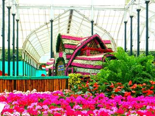  లాల్ బాగ్ ఫ్లవర్ షో - గులాబీల గుబాళింపులు!