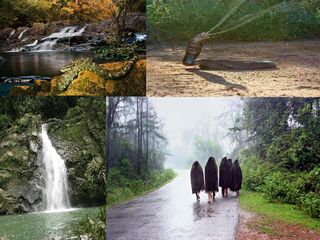 ఆగుంబే...జలపాతాలు, అడవుల ప్రదేశం !