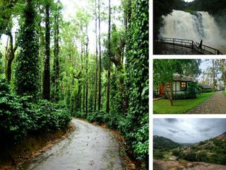 వారాంతపు విహారం - బెంగుళూరు నుండి కూర్గ్ !