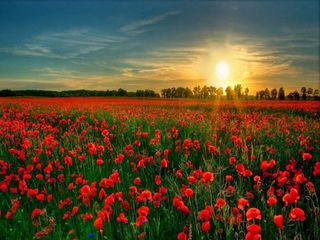 రొమాన్స్ ప్రదేశాల పుట్టిల్లు - తమిళనాడు !!