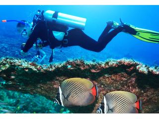 భారీ మొత్తంలో డబ్బును ఆదా చేసుకొనే టాప్ 5 కూపన్లు !