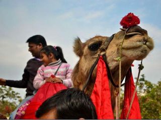  చారిత్రాత్మక సూరజ్ కుండ్ మేళా !