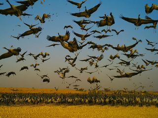 ఖీచన్ లో సందర్శించవలసిన పర్యాటక స్థలాలు !!