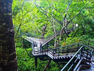 పునలూర్ లో సమీపంలో సందర్శించవలసిన పర్యాటక స్థలాలు !