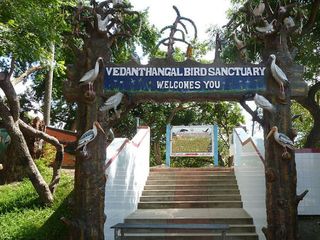 వేదంతంగల్ ఒక పురాతన పక్షి అభయారణ్యం !