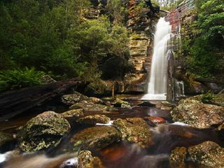 నిలంబూర్ : అందమైన 'టేకు చెట్ల భూమి' కి ప్రయాణం !