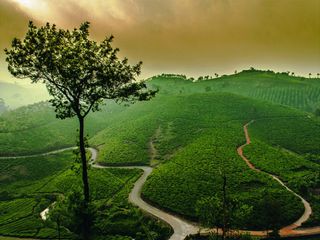 పీర్ మేడ్ - కొండ చరియల ఆనందాలు !