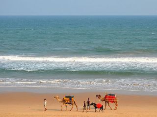 గోపాల్పూర్  - పర్యాటకులకు ఒక గొప్ప అనుభూతి !