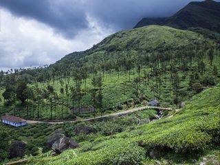 సుల్తాన్ బతేరి - కొండల మధ్యలో పరవశం ! 