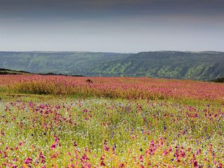 సతారాలో ఈ అద్భుత ప్రదేశాలను చూసారా ?