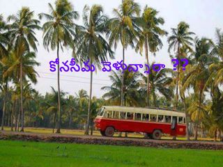 ఆంధ్రా పాలిట భూతలస్వర్గం  ...  'కోనసీమ' !