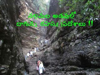 నల్లమల అడవుల్లో దాగున్న రహస్య జలపాతాలు, ఆలయాలు !