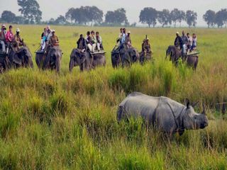 అస్సాం లో ప్రసిద్ధి చెందిన నేషనల్ పార్కులు !!