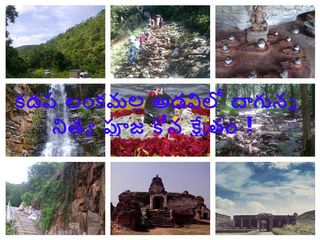 కడప లంకమల్ల అడవిలో దాగున్న నిత్య పూజ కోన క్షేత్రం !