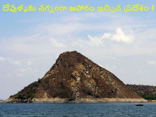 శృంగారభరిత సన్నివేశాల కేరాఫ్ ... పొల్లాచి !