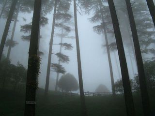 ధనౌల్తి  - డూం వ్యాలీ యొక్క అందాలు !!