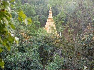 కొలను భారతి - ఎపి లో ఉన్న ఒకేఒక సరస్వతి దేవాలయం !!