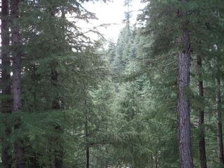 పాలము - పర్యాటకులకు ఆటవిడుపు !!