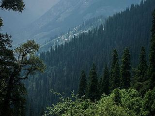 షోజా - లోయలో అందమైన ప్రదేశం !!