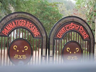 పన్నా నేషనల్ పార్క్, మధ్య ప్రదేశ్ !!