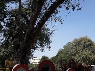 అంతుచిక్కని రహస్య పురాతన ఆలయం - కారంజి ఆంజనేయస్వామి దేవాలయం