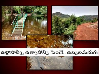 ఉల్లాసాన్ని, ఉత్సాహాన్ని పెంచే.. ఉబ్బ‌ల‌మ‌డుగు