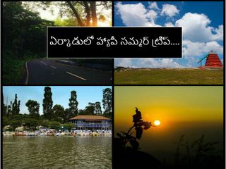 ఏర్కాడులో హ్యాపీ సమ్మర్ ట్రిప్....